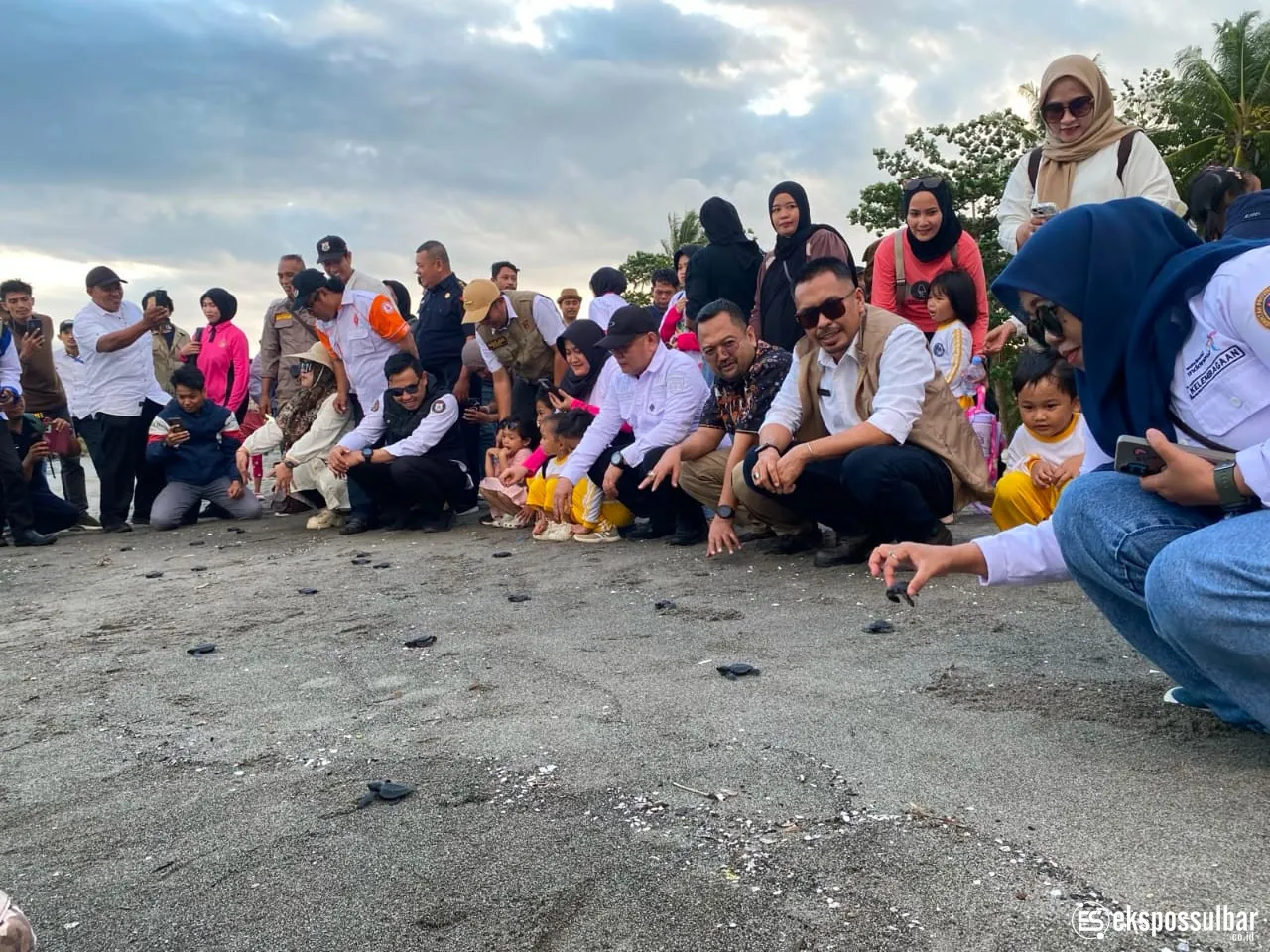 Bau Akram Dai Buka Festival Penyu Mampie 2026, Tegaskan Sinergi Pariwisata Berkelanjutan dan Pelestarian Lingkungan