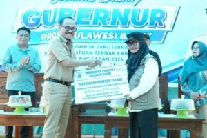 Gubernur Suhardi Duka Serahkan Bantuan Kambing dan Ayam ke Kelompok Tani-Ternak Majene