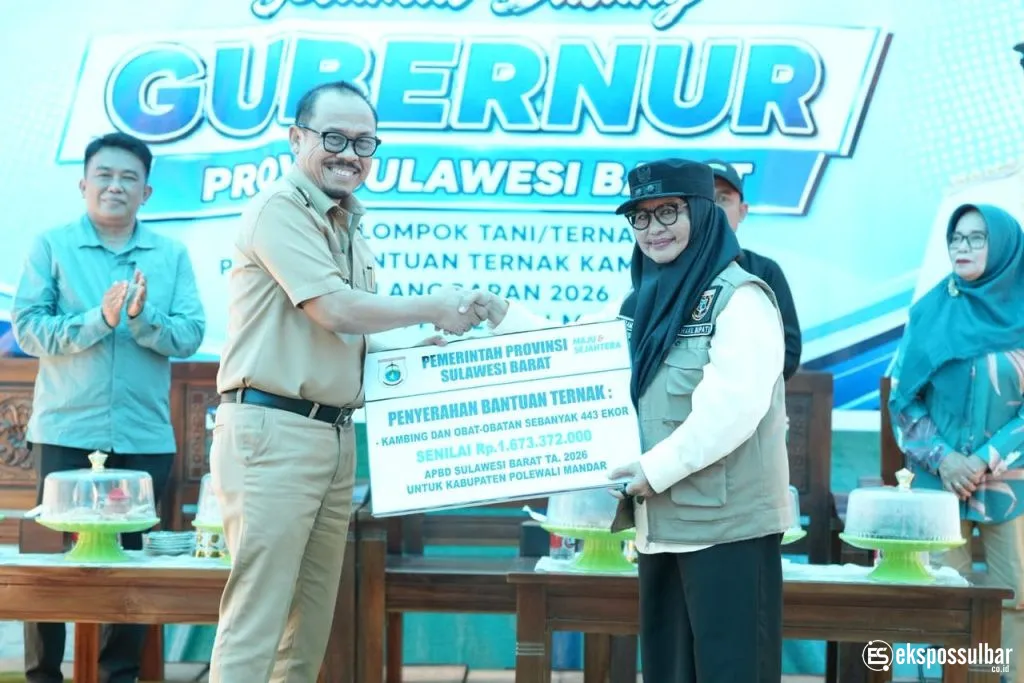 Gubernur Suhardi Duka Serahkan Bantuan Kambing dan Ayam ke Kelompok Tani-Ternak Majene