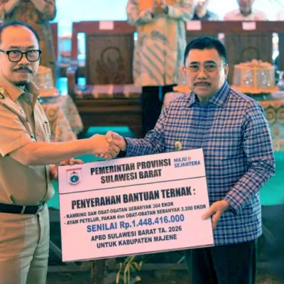 Pemprov Sulbar Salurkan 304 Kambing dan 2.200 Ayam Petelur ke Kelompok Tani Majene