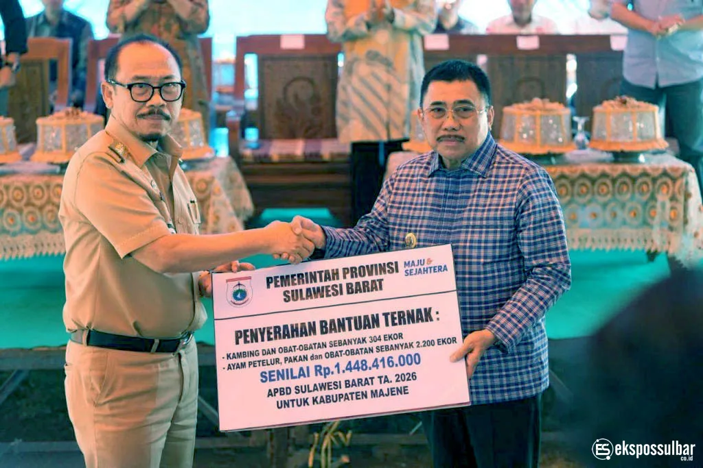 Pemprov Sulbar Salurkan 304 Kambing dan 2.200 Ayam Petelur ke Kelompok Tani Majene