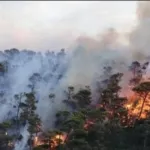 Sulbar Ditembus 3.000 Titik Panas, Suhardi Duka Imbau Warga Bersama Cegah Kebakaran