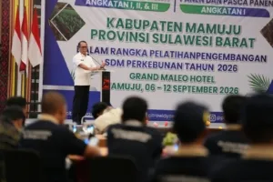Potensi Sawit Sulbar Besar, Pemprov Fokus Tingkatkan Kualitas Petani