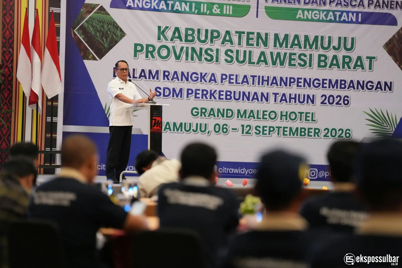 Potensi Sawit Sulbar Besar, Pemprov Fokus Tingkatkan Kualitas Petani