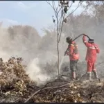 Asap Tebal Selimuti Mamuju Tengah, BPBD Sulbar Imbau Warga Tetap Waspada, Kurangi Aktivitas Luar