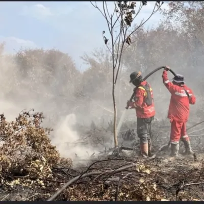 Asap Tebal Selimuti Mamuju Tengah, BPBD Sulbar Imbau Warga Tetap Waspada, Kurangi Aktivitas Luar