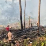 Beberapa Hari Udara di Mamuju Berasap, BPBD Sulbar Ingatkan Bahaya Partikulat Bagi Anak, Lansia, Ibu Hamil