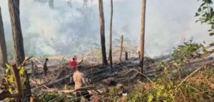 Beberapa Hari Udara di Mamuju Berasap, BPBD Sulbar Ingatkan Bahaya Partikulat Bagi Anak, Lansia, Ibu Hamil
