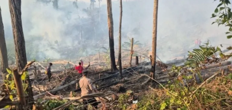 Beberapa Hari Udara di Mamuju Berasap, BPBD Sulbar Ingatkan Bahaya Partikulat Bagi Anak, Lansia, Ibu Hamil