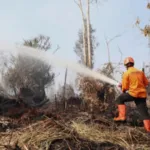Pemerintah Pusat Cairkan Bantuan Karhutla Tahap II Rp1,235 Triliun, Sulawesi Barat Tidak Tercantum Dalam Daftar