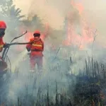 Asap Karhutla Meluas di Sulbar, Warga Diimbau Pakai Masker dan Kurangi Aktivitas Luar