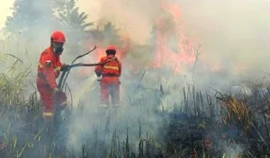 Asap Karhutla Meluas di Sulbar, Warga Diimbau Pakai Masker dan Kurangi Aktivitas Luar