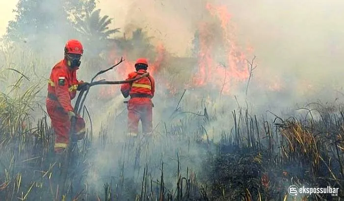 Asap Karhutla Meluas di Sulbar, Warga Diimbau Pakai Masker dan Kurangi Aktivitas Luar