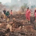 Hari Kedua Penanganan Karhutla di Tommo, TRC BPBD Sulbar dan Tim Gabungan Perkuat Pengendalian Api