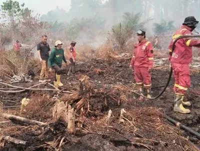 Hari Kedua Penanganan Karhutla di Tommo, TRC BPBD Sulbar dan Tim Gabungan Perkuat Pengendalian Api