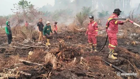 Hari Kedua Penanganan Karhutla di Tommo, TRC BPBD Sulbar dan Tim Gabungan Perkuat Pengendalian Api