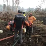 TRC BPBD Sulbar Bersama Tim Gabungan Terus Lakukan Pemadaman Karhutla di Desa Buana Sakti Tommo