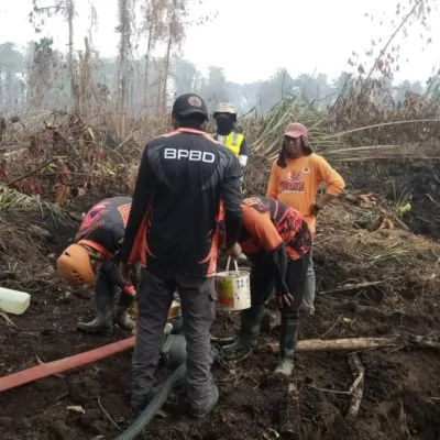 TRC BPBD Sulbar Bersama Tim Gabungan Terus Lakukan Pemadaman Karhutla di Desa Buana Sakti Tommo
