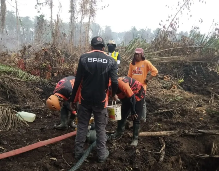 TRC BPBD Sulbar Bersama Tim Gabungan Terus Lakukan Pemadaman Karhutla di Desa Buana Sakti Tommo