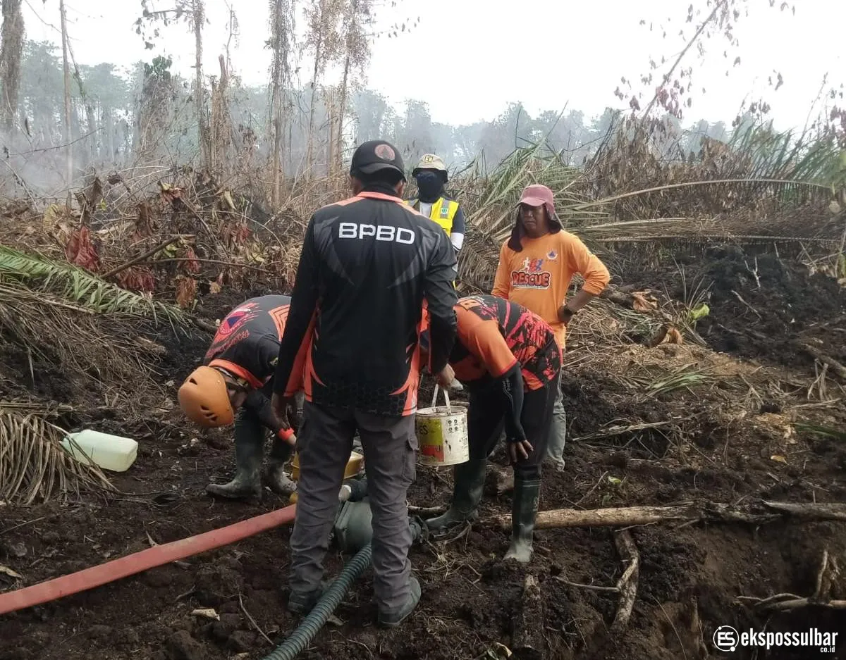 TRC BPBD Sulbar Bersama Tim Gabungan Terus Lakukan Pemadaman Karhutla di Desa Buana Sakti Tommo
